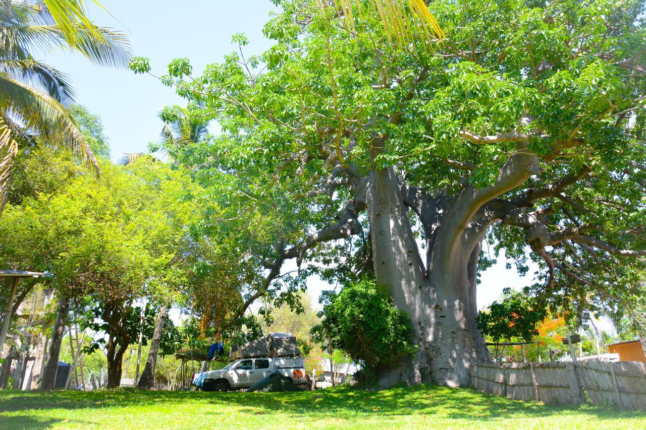 Baobab Beach Виланкулос Экстерьер фото